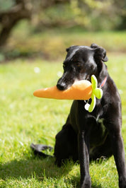 Foodie Faces Fluffy Carrot Dog Toy – Soft, Squeaky & Fun Plush Toy for Dogs
