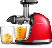 AMZCHEF Juicer Machines - Cold Press Slow Juicer - Masticating Juicer for Whole Fruits and Vegetables - Delicate Chew No Need to Filter - BPA Free Juice Extractor with 2 Cups and Brush - Black