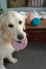 Iced Ring Biscuit Dog Toy – Durable Latex Chew Toy for Fun, Fetch & Interactive Play