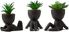 LUNIER Set of 3 Faux Succulent Plants in Porcelain Pots – Small Indoor Desk & Shelf Décor