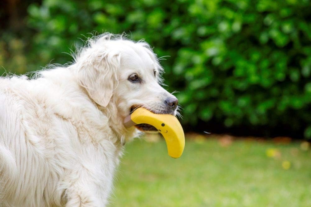 Latex Banana Dog Toy – Large Soft Chew Toy for Fun, Fetch & Interactive Play