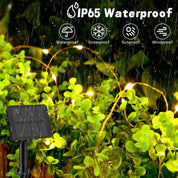 Solar powered Fairy Lights