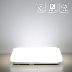 LED Ceiling Light Ultra Slim 24W, Kitchen Ceiling Lights Cold White 6500K, Square Ceiling Lights for Bathroom