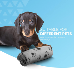 FurDreams 3-Pack Pet Blankets – Soft Flannel Fleece Throws, Washable & Lightweight