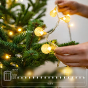 50 LED Globe String Lights with Remote Control
