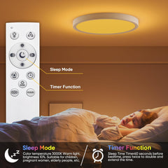 2 Pack RGB LED Ceiling Lights with Remote Control