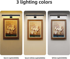 Wireless Rechargeable Picture Light with Remote Control - Full Metal Art Display Lamp