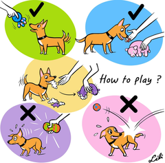 Squeaky Latex Puppy Toys – Funny Animal Play Set for Small Dogs, Interactive & Safe