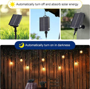 Warm White Solar Garden Lights – 100 LEDs, USB, Waterproof