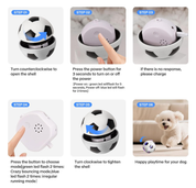 Interactive Smart Dog Ball 3.15" USB Rechargeable Moving Toy with LED Lights