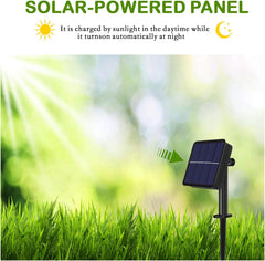 59Ft 100 LED Solar Globe String Lights – Multicolour, Waterproof, 8 Modes