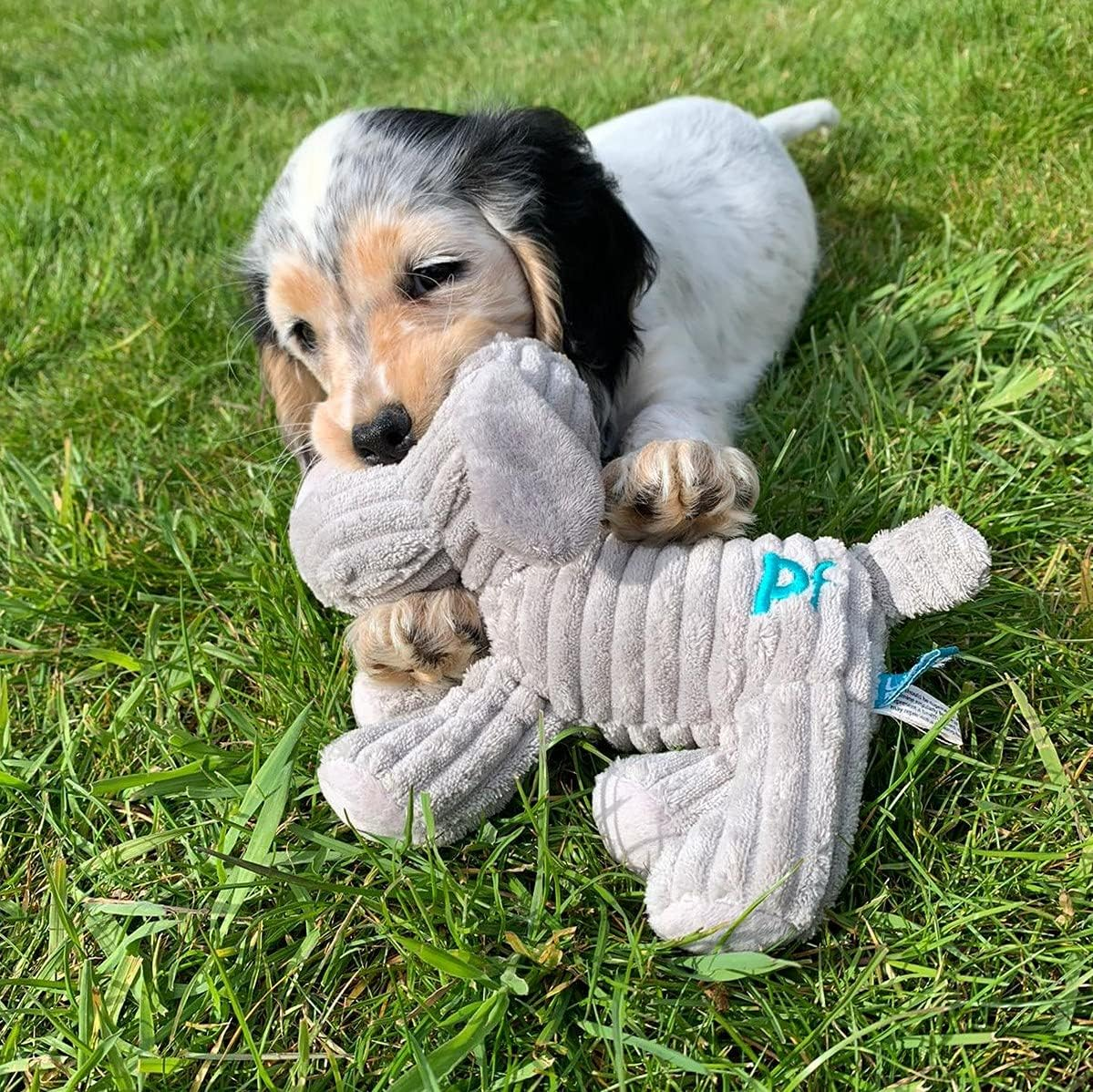 Freddi Cord Plush Puppy Dog Toy – Soft, Durable & Squeaky Cuddle Toy for Pets