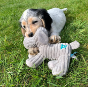 Freddi Cord Plush Puppy Dog Toy – Soft, Durable & Squeaky Cuddle Toy for Pets