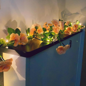 Pink Rose fairy lights