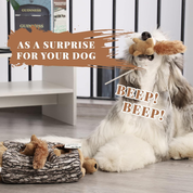 Hidden Squirrel Plush Dog Toy, Interactive Squeaky Hide and Seek Puzzle Toy