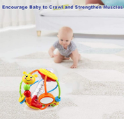 HOLA Baby Rattle Toy Set – Sensory Shaker & Activity Ball for 0–12 Months