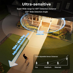 Porch Light Outdoor with Motion Sensor, Dusk-to-Dawn Black