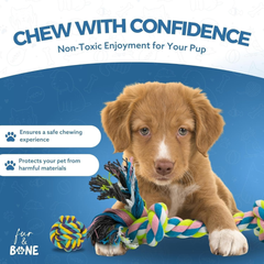 Dog Chew Toys 10-Pack, Rope & Squeaky Teething Toys for Small & Medium Dogs