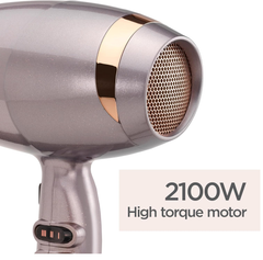 2100W Professional Ionic Hair Dryer – Fast Drying, Lightweight, Ceramic Silver