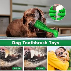 Dog Toothbrush Chew Toy – Natural Rubber Teeth Cleaning & Dental Care for Puppies