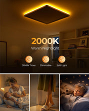 Dimmable LED Ceiling Light 24W with Night Light & Remote