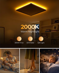 Dimmable LED Ceiling Light 24W with Night Light & Remote
