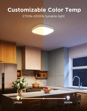 Smart RGBIC 30cm LED Ceiling Light