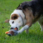 Honking & Squeaky Duck Plush Dog Toy – Soft Interactive Chew Toy for Dogs
