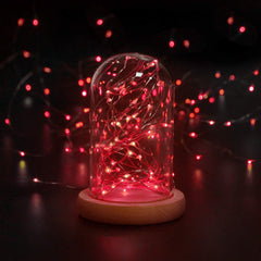 Red Fairy String Lights 5m with 50 LEDs – Battery Operated Waterproof Micro Lights for Decor