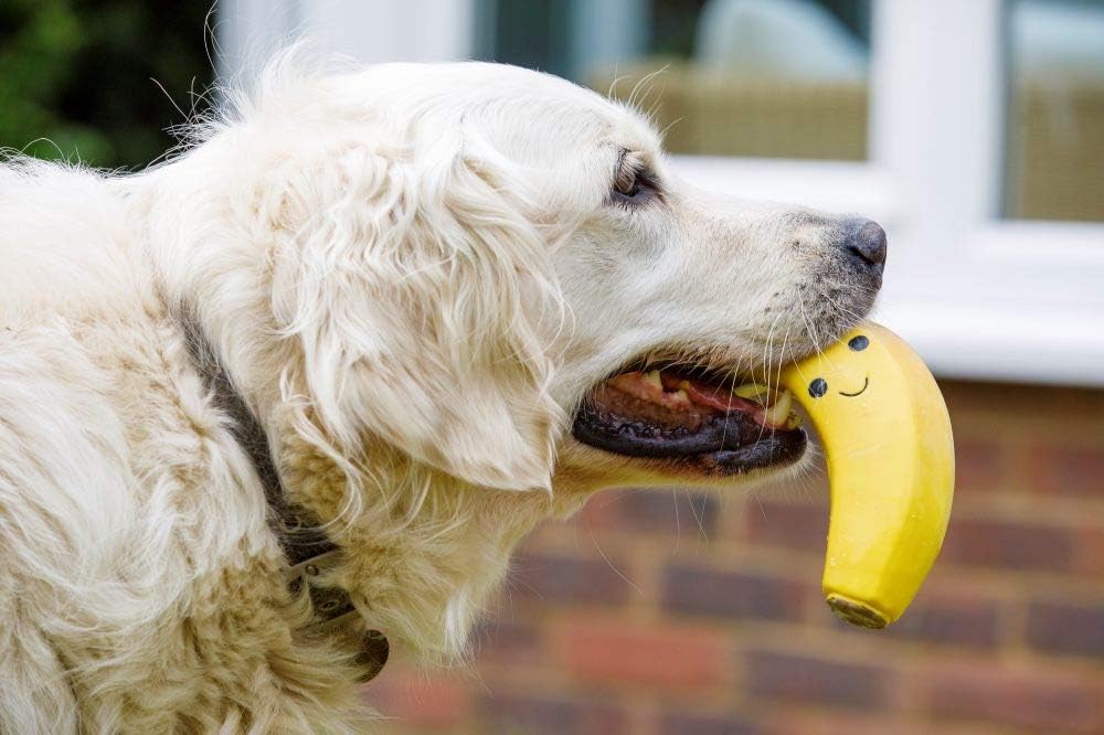 Latex Banana Dog Toy – Large Soft Chew Toy for Fun, Fetch & Interactive Play