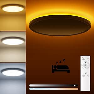 18W Dimmable LED Ceiling Light with Remote, Adjustable 22cm Round Lamp
