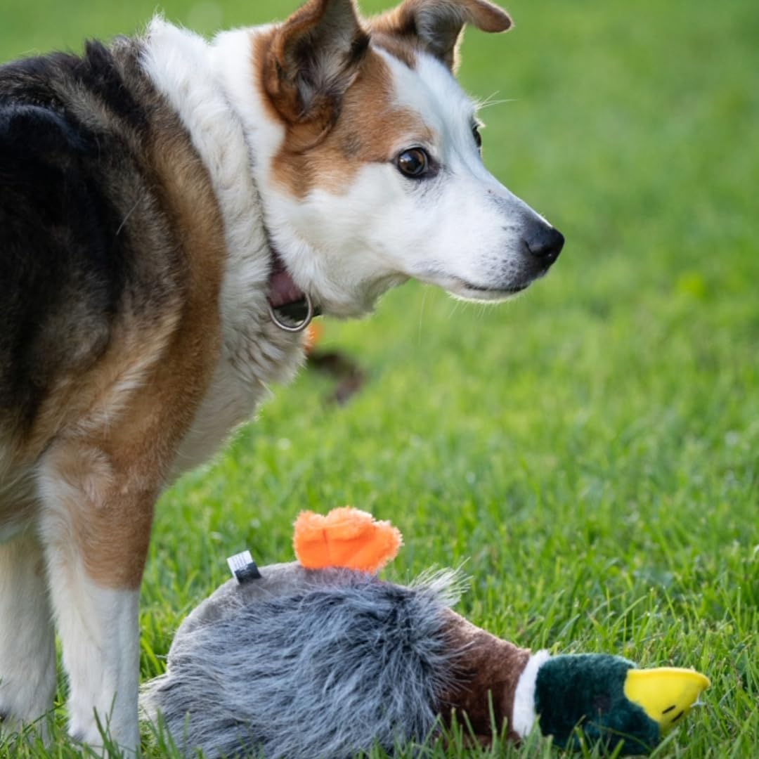 Honking & Squeaky Duck Plush Dog Toy – Soft Interactive Chew Toy for Dogs