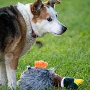 Honking & Squeaky Duck Plush Dog Toy – Soft Interactive Chew Toy for Dogs