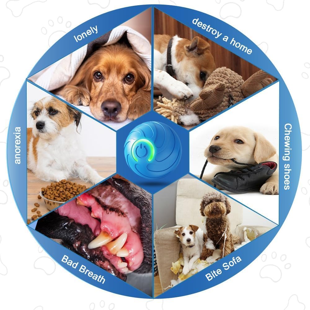 Interactive LED Pet Ball – 360° Automatic Rolling Toy for Dogs & Cats