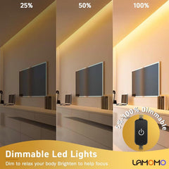 Dimmable LED lights demonstration with 25%, 50%, and 100% brightness levels in a room setting.