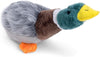 Honking & Squeaky Duck Plush Dog Toy – Soft Interactive Chew Toy for Dogs