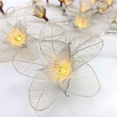 rLily Fairy Lights (Cream Coloured) - Handcrafted Organic Natural Leaf Flowers - 20 Warm White LED Lights - includes USB Mains Adapter with UK 3-Pin Plug - Indoor Decor Lights