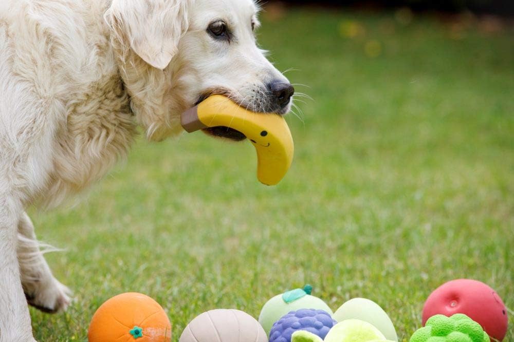 Latex Banana Dog Toy – Large Soft Chew Toy for Fun, Fetch & Interactive Play
