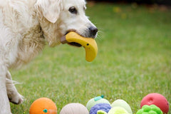 Latex Banana Dog Toy – Large Soft Chew Toy for Fun, Fetch & Interactive Play