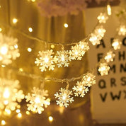 6M Globe Fairy Lights – 40 LED Battery String