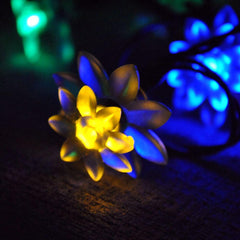 Battery Powered Double Layer Lotus LED Fairy Lights – 20 LEDs, 2M Long, in Red, Perfect for Festive and Decorative Lighting