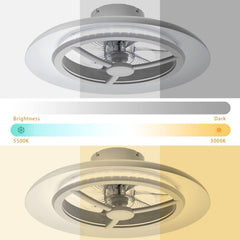 Ceiling fan with brightness and color temperature options displayed.