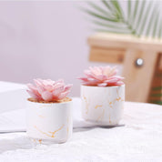 ZENIDA Artificial Succulent Plants in White Pots – Small Fake Décor for Home & Office
