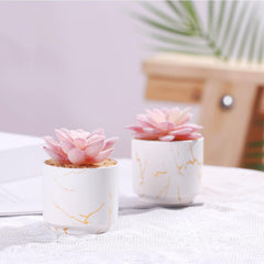 ZENIDA Artificial Succulent Plants in White Pots – Small Fake Décor for Home & Office