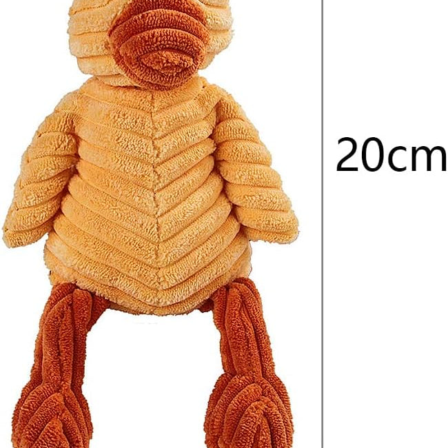 61Usb5Te3iL._AC_SL1000.jpg