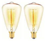 2 Pack ST48 Filament Bulbs 40W