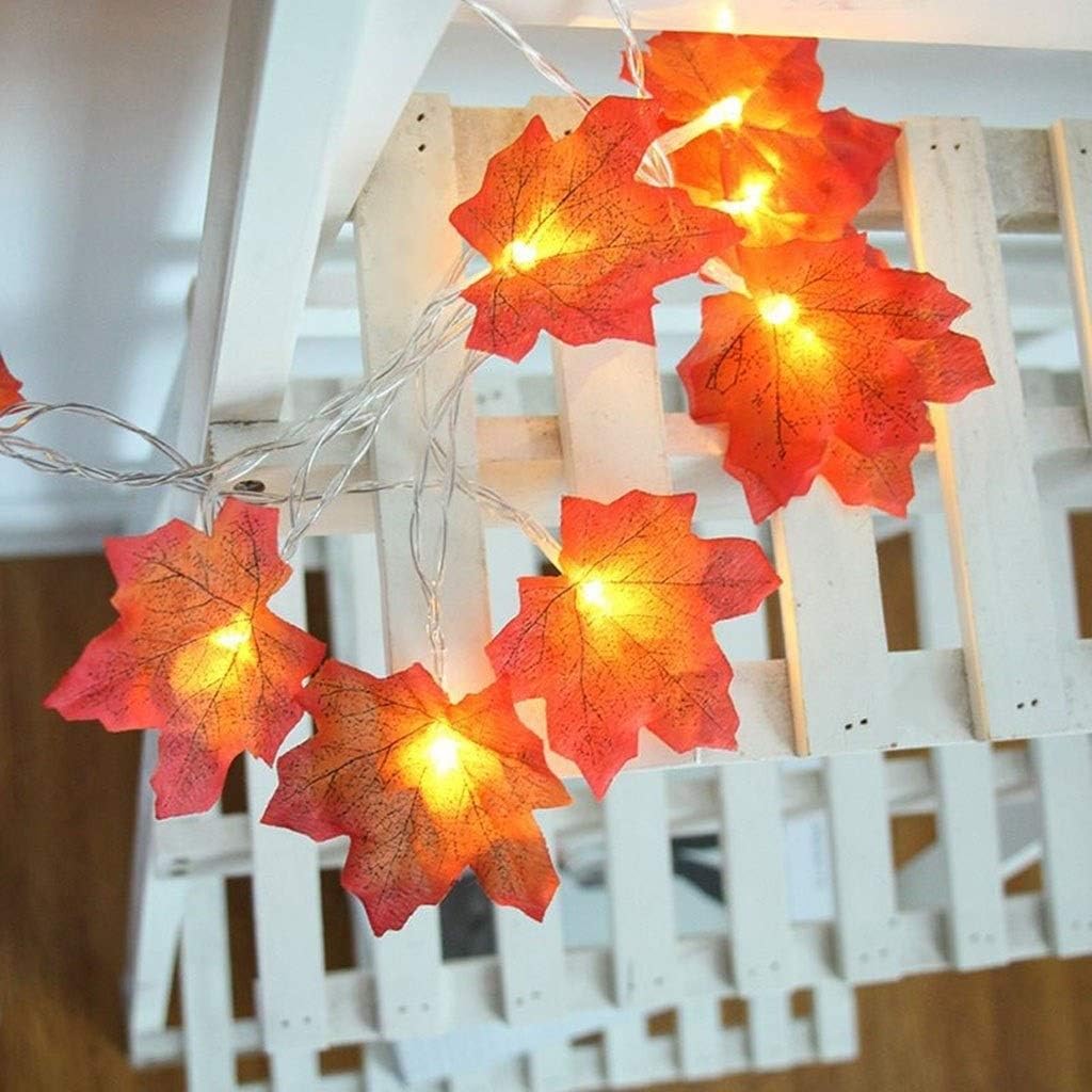 festoon lights outdoor