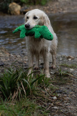 Planet Carlos the Crocodile Eco-Friendly Plush Dog Toy Made from Recycled Bottles