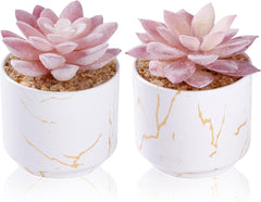 ZENIDA Artificial Succulent Plants in White Pots – Small Fake Décor for Home & Office