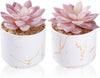 ZENIDA Artificial Succulent Plants in White Pots – Small Fake Décor for Home & Office